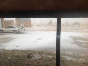 the snow begins to cover the ground...